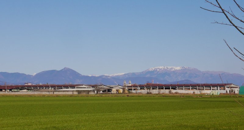 87822659_10101651081718662_6982129961452699648_o